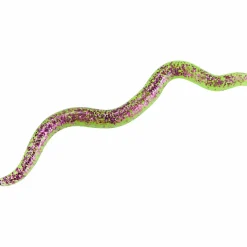 Clearance Wiggle Worm (Purple Chartreuse) Gummiköder ·Gummimaden & Gummiwürmer
