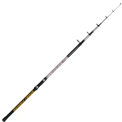 Silverman Angelrute Master 6,00 m 10-30 g< Posenruten|Zielfischruten