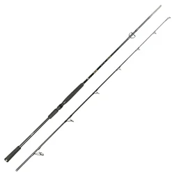 Sale Big Lure Spin Spinnruten