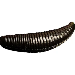 Trout Jara Weichplastikköder Bruchi (002, Garlic, Bubblegum)< Gummiköder ·Sonstige Weichplastikköder|Forellen-Kunstköder