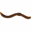 TroutMaster Dendrobaena 80 (natural)< Raubfischangeln Kunstköder|Gummiköder ·Gummimaden & Gummiwürmer