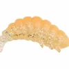 Online Fat Camola (Natural/Clear) Forellen-Kunstköder