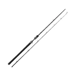 Westin W3 Jerkbait-T 3rd< Spinnruten