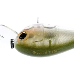Online Wobbler Bassbite Squarebill (Clear Olive) Wobbler