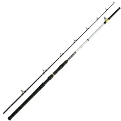 Discount Angelrute Catbuster Boat 240 cm 150-600 g Wallerruten|Zielfischruten