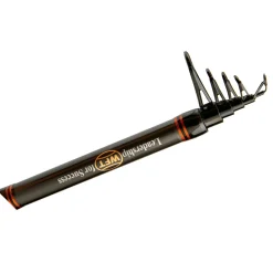 Clearance Angelrute Lake ,N’ River Tele 240 cm 15-75 g Zielfischruten