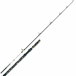 WFT Welsrute Catbuster Belley Boat 160 cm 150-600 g< Wallerruten|Zielfischruten