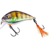 Zeck Danny (Glam Perch BA)< Wobbler