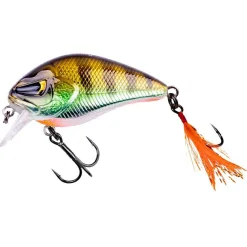 Zeck Danny (Glam Perch BA)< Wobbler