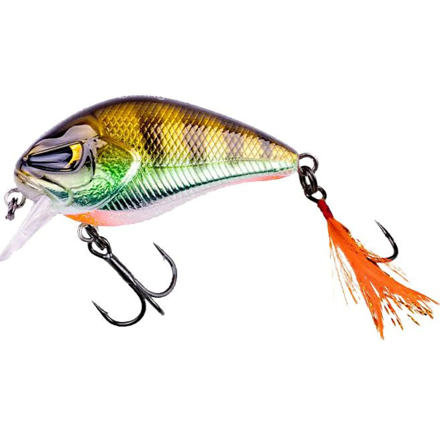Zeck Danny (Glam Perch BA)< Wobbler
