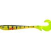 Zeck Gummiköder Butcher (Shock Perch)< Gummiköder ·Gummifische & Shads