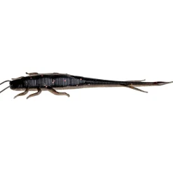 Best Shaky Sneaker (Dark Goby) Gummiköder ·Creature Baits|Raubfischangeln Kunstköder
